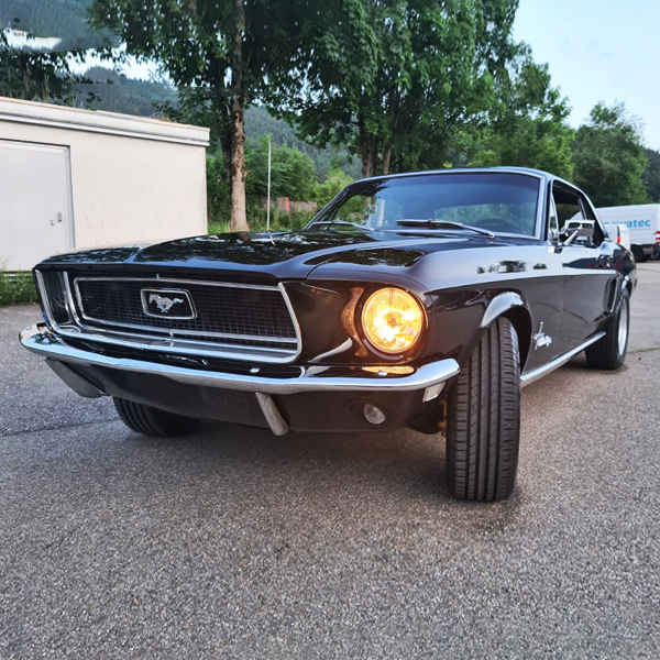 Ford Mustang 68 Komplett Restauration